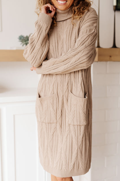 Bundled Beauty Turtleneck Sweater Dress in Boulder