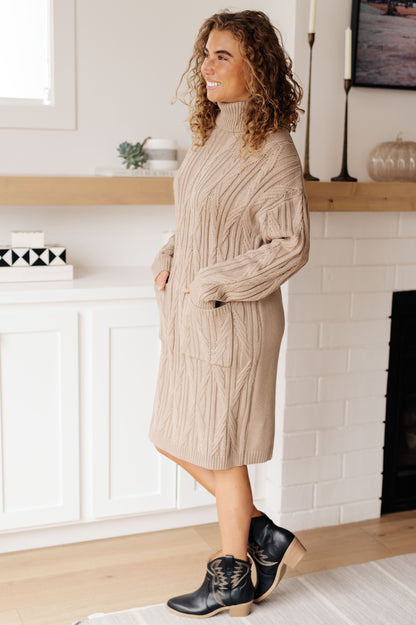 Bundled Beauty Turtleneck Sweater Dress in Boulder